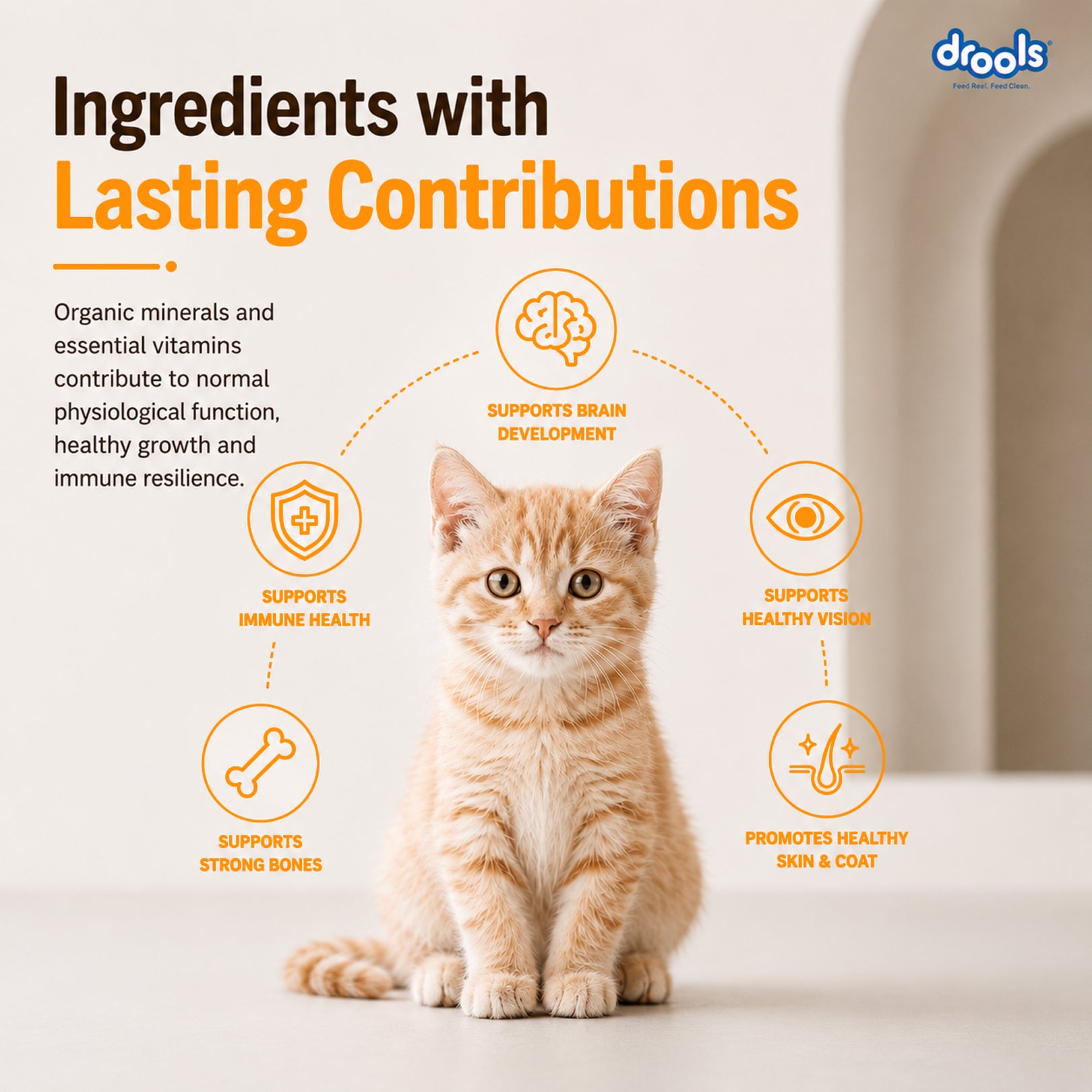Drools Real Chicken Kitten Dry Food image 8