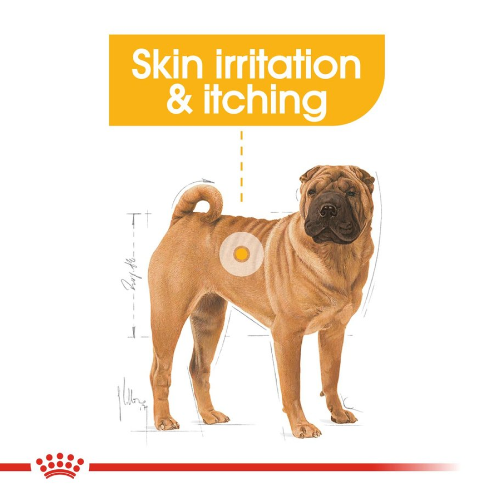 Royal Canin Derma Comfort Medium Adult Dog Dry Food image 7