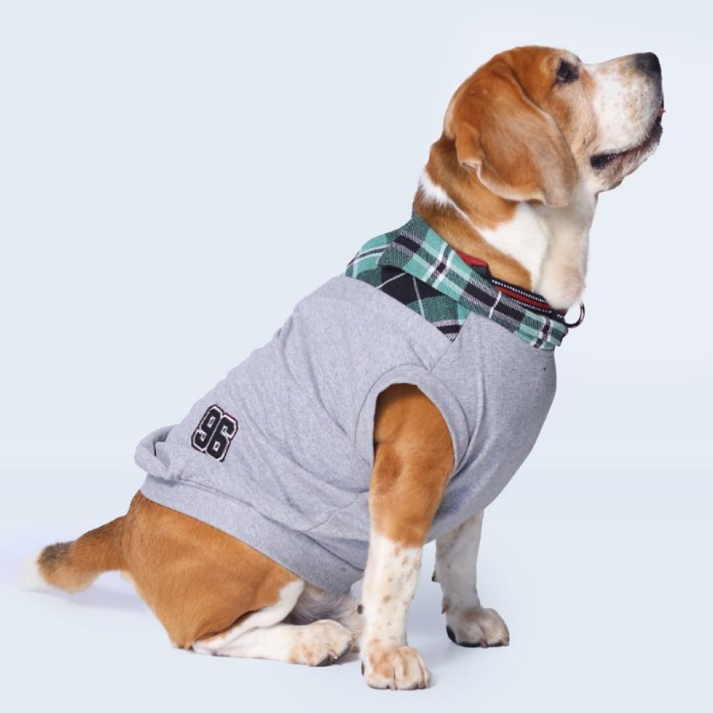 Pet Set Go Polo Knit Tshirt for Dogs (Grey) image 3