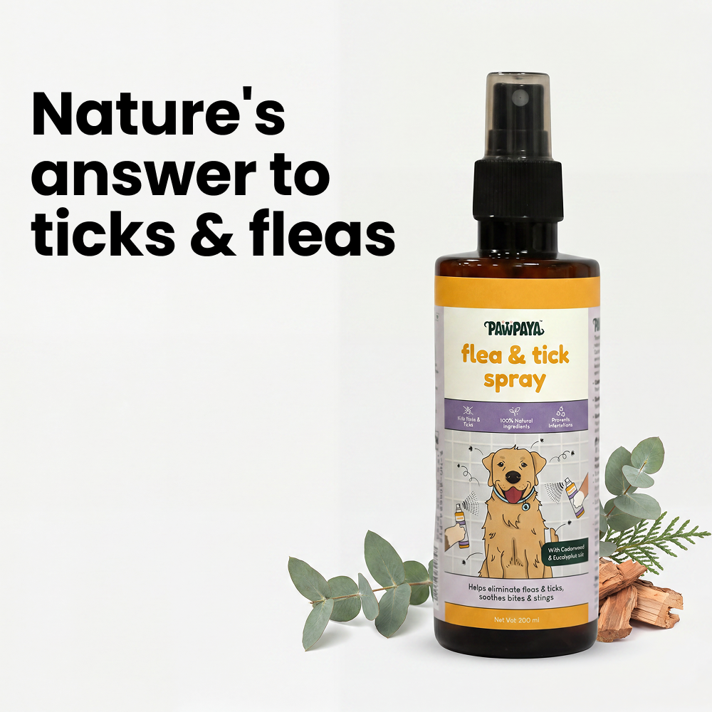 Pawpaya  Flea and Tick Spray for Dogs and Cats image 3