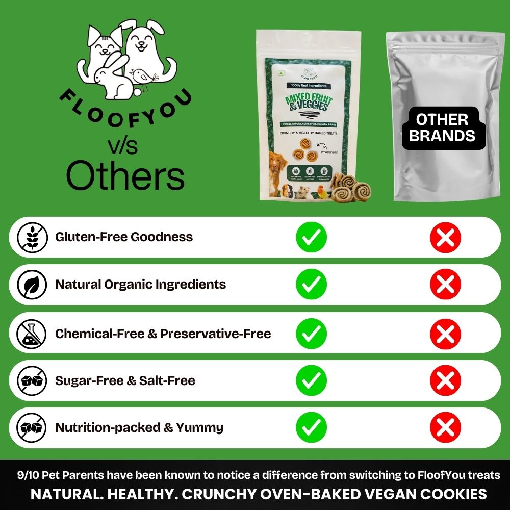 FloofYou Oven Baked Mixed Fruit and Veggies Dog Treats image 3