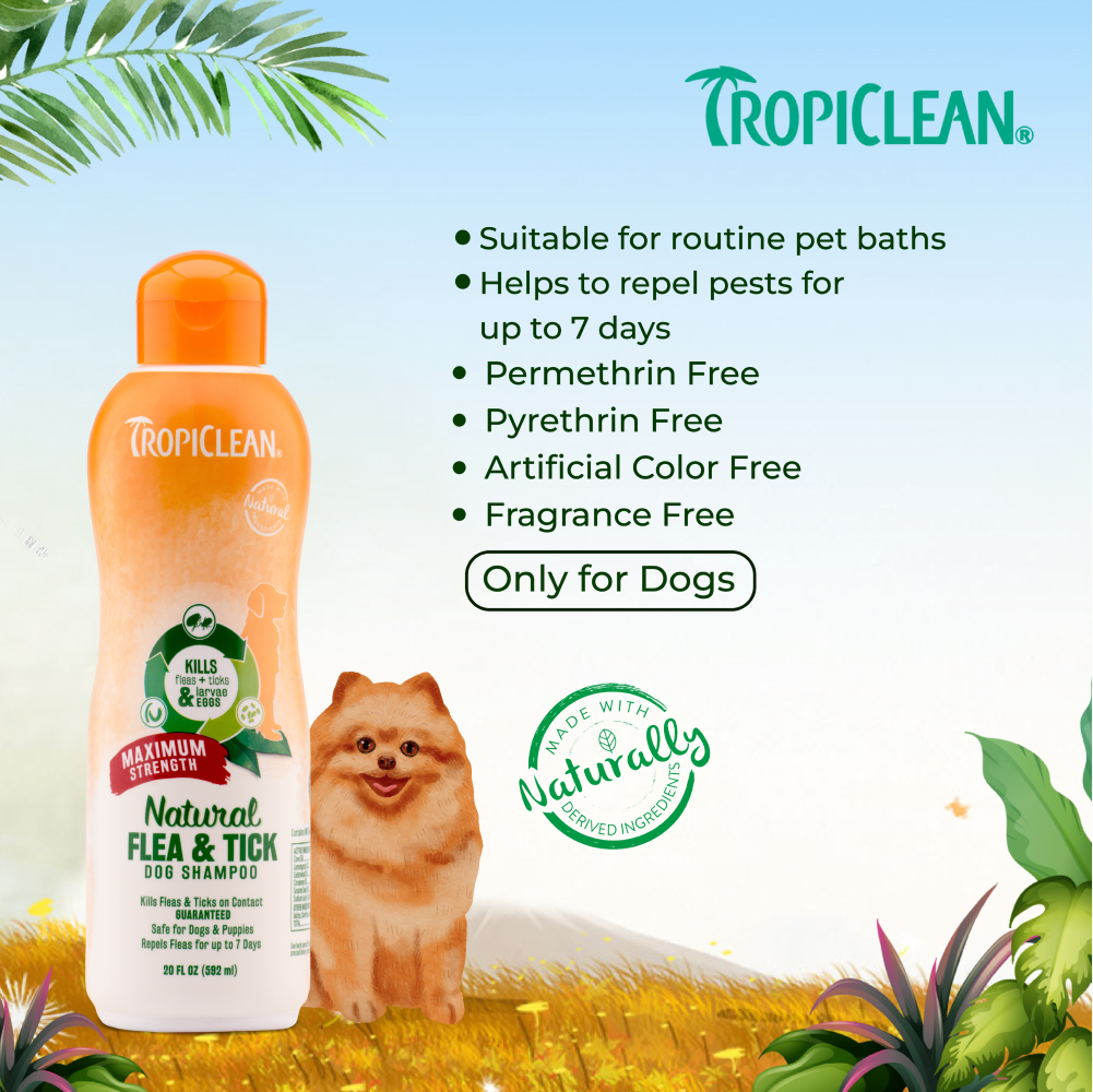 Tropiclean Maximum Strength Natural Flea & Tick Shampoo for Dogs image 5
