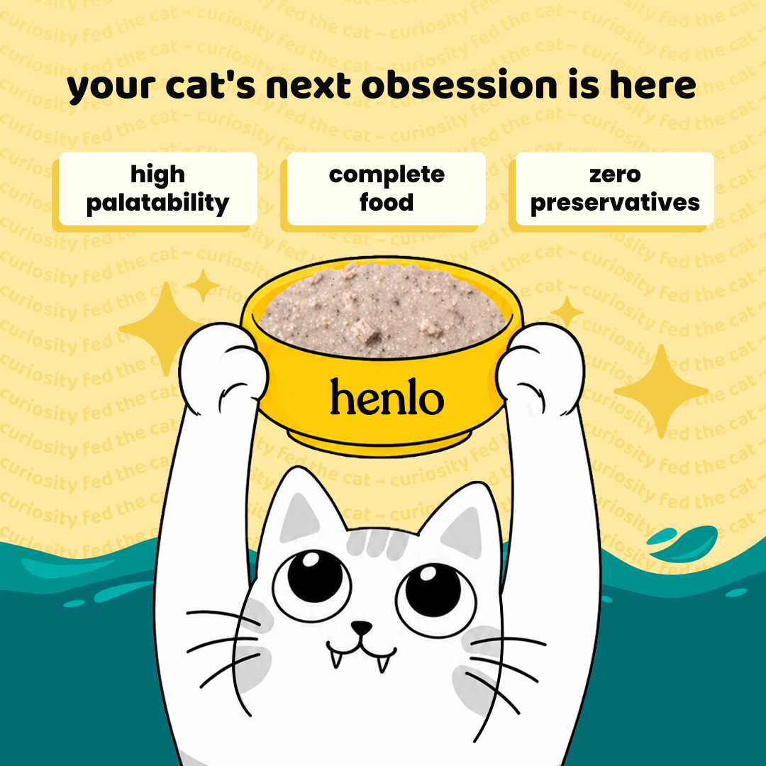 Henlo Tuna in Gravy with Chicken Adult Cat Wet Food | 100% Human Grade Ingredients image 3