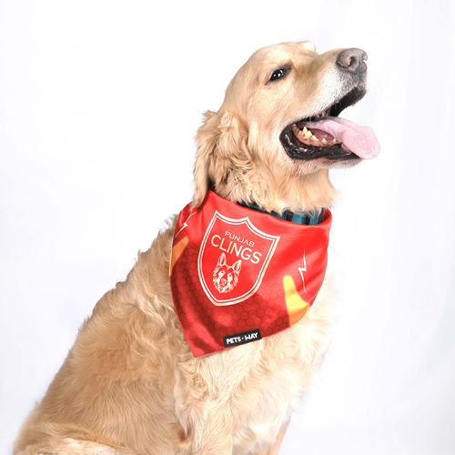Pets Way Punjab Clings IPL Bandana for Dogs and Cats (Red) | Indian Pet League