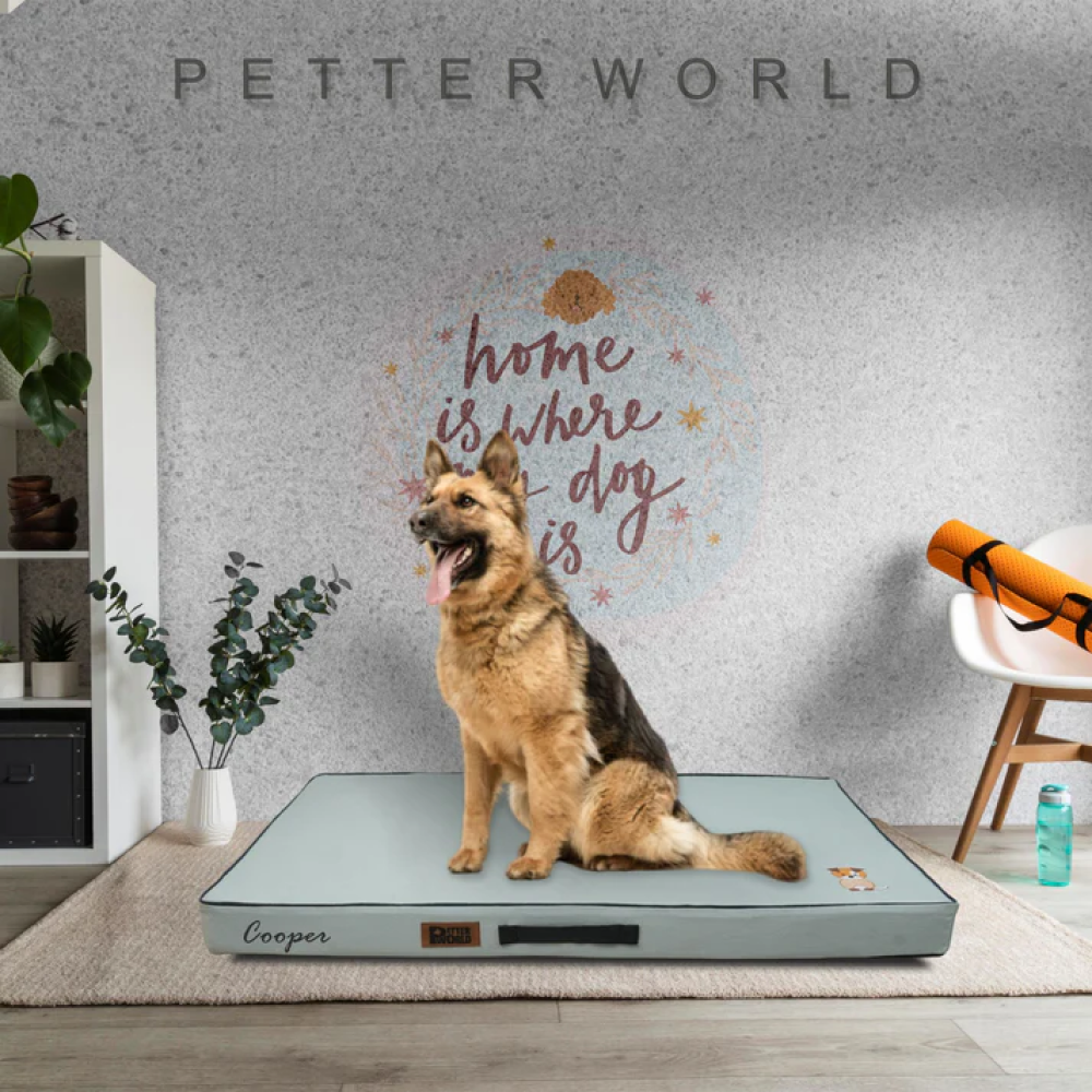 Petter World Comfort Flat Foam Bed for Dogs (Celeste Green) image 2