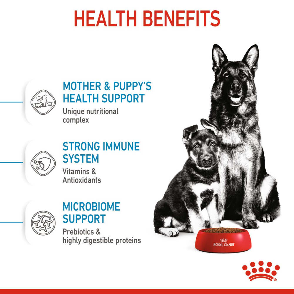 Royal Canin Maxi Starter Dry Dog Food image 4
