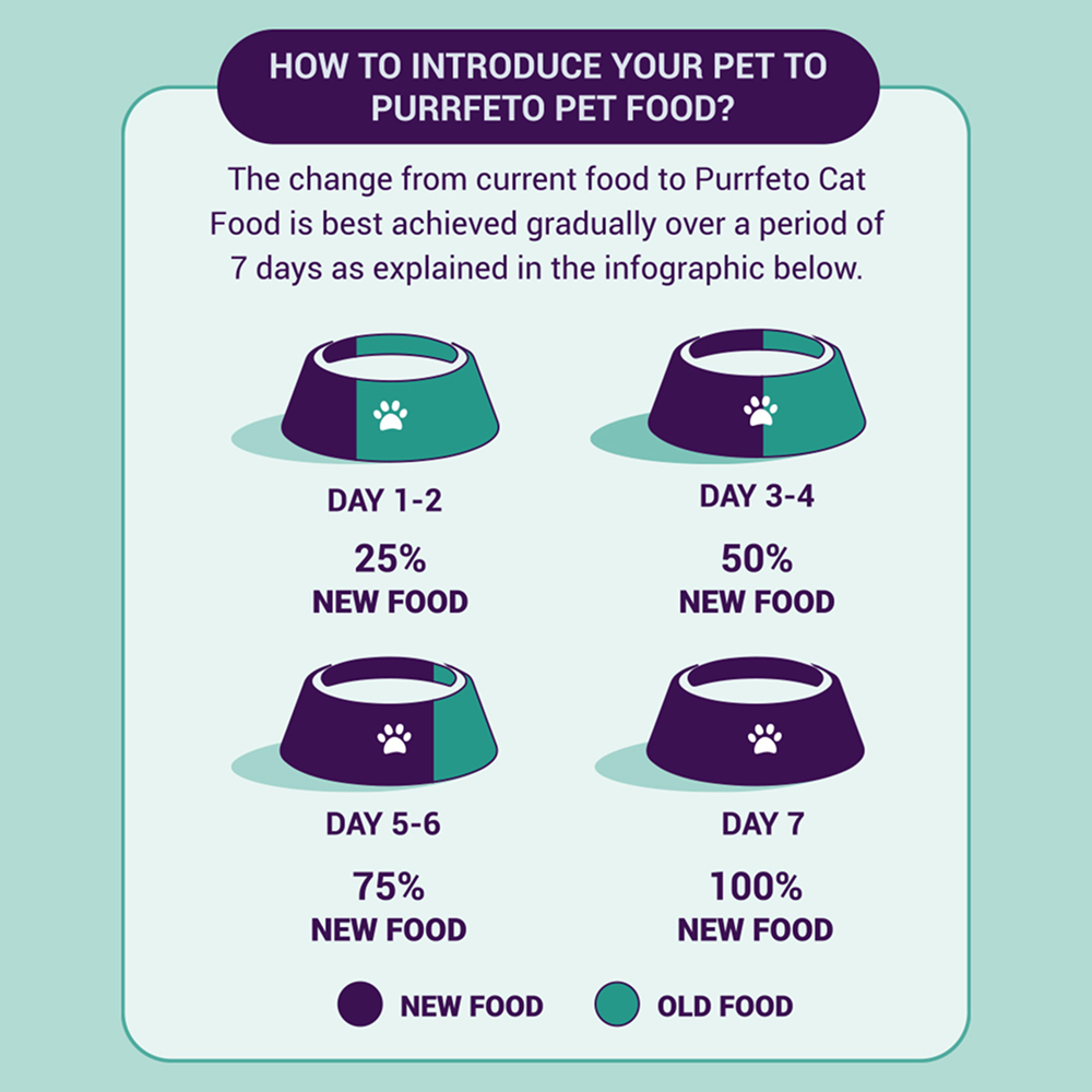 Purrfeto Chicken and Ocean Fish Cat Dry Food image 3