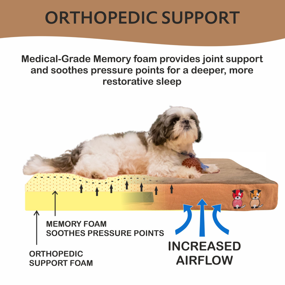 Petter World Orthopedic Memory Foam Bed With Large Sleep Surface for Dogs (Mocha Brown) image 3