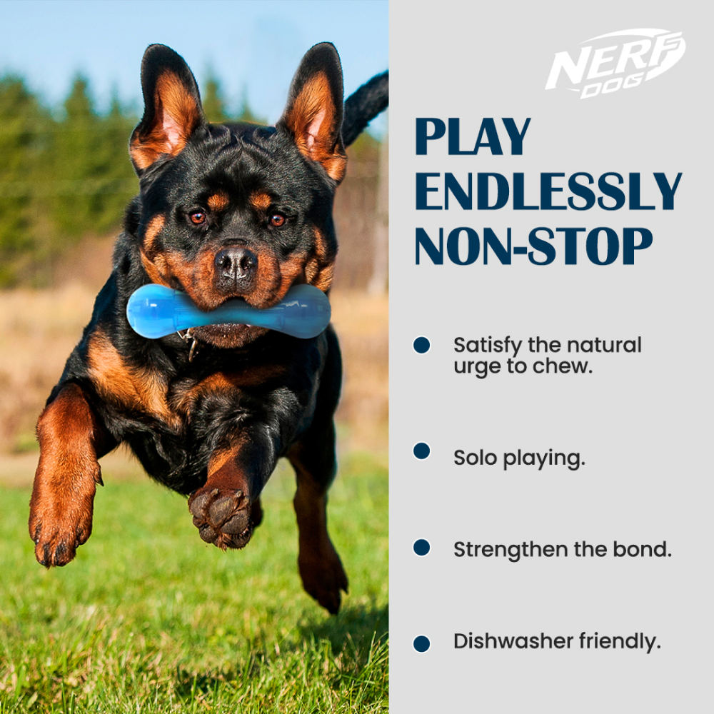 Nerf Bash Ultra Tough TPR Bone Toy for Dogs (Blue) image 2