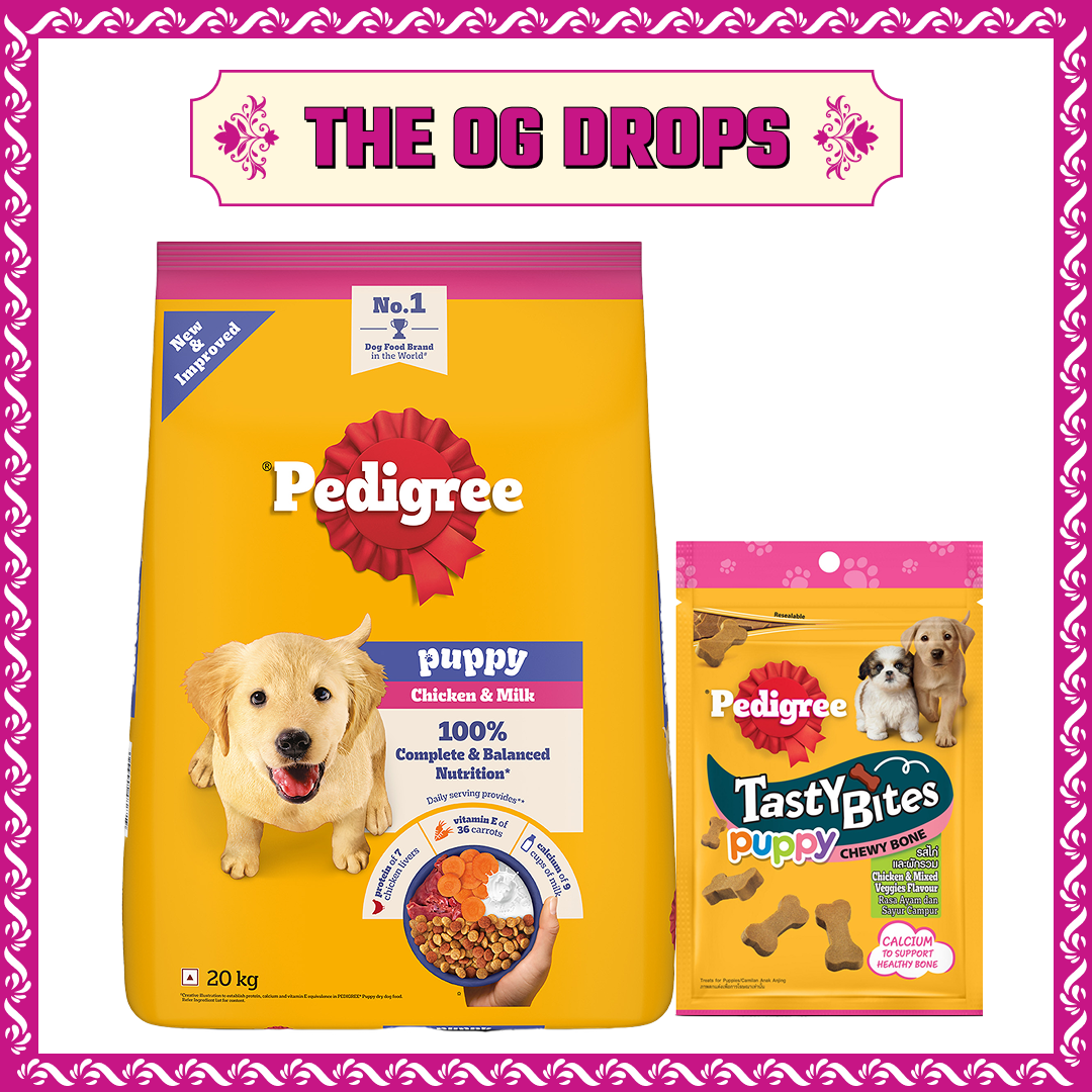 Pedigree Chicken and Milk Puppy Dog Dry Food image 3