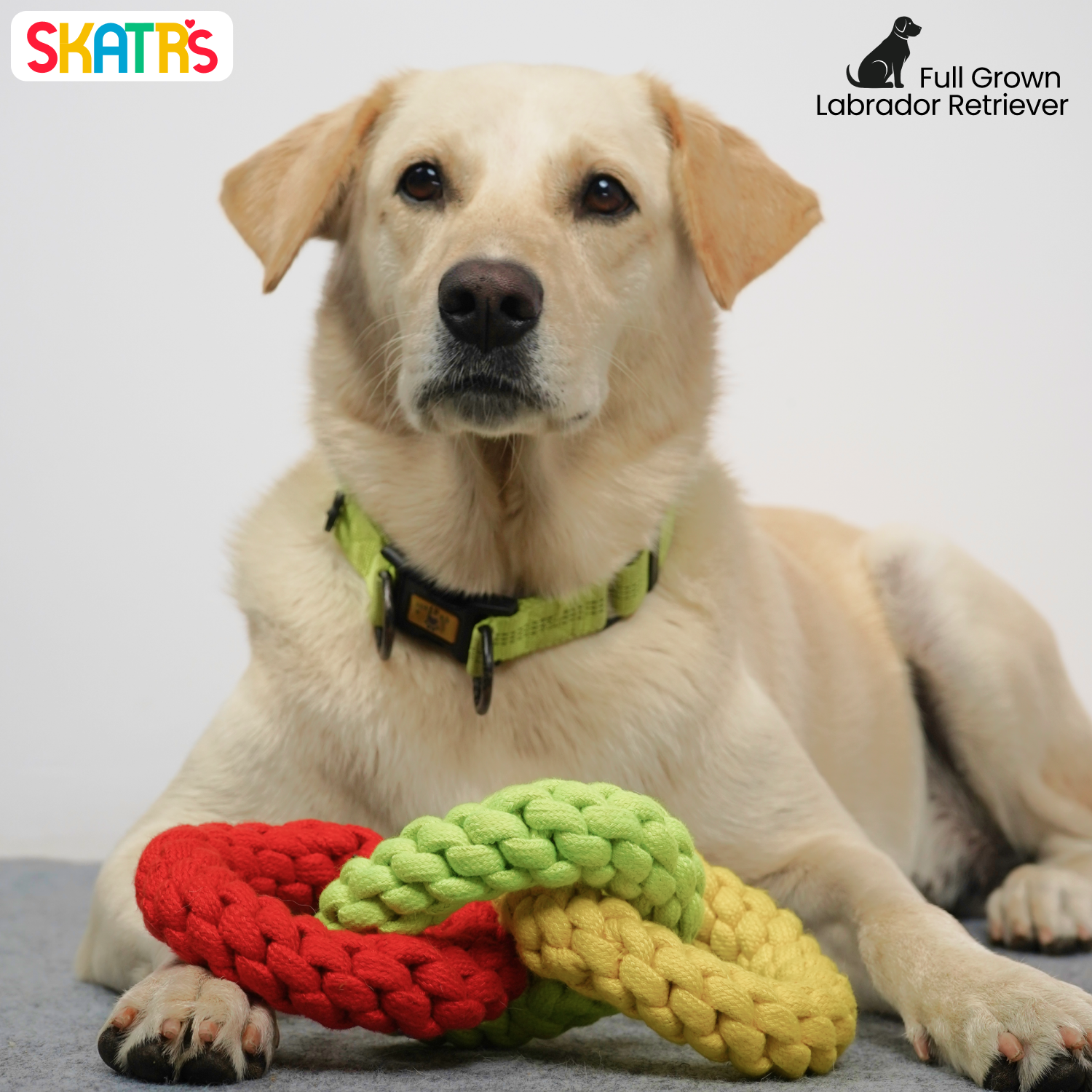 Skatrs Triple Ring Rope Chew Toy for Dogs and Cats (Neon Green/Red/Yellow) image 4