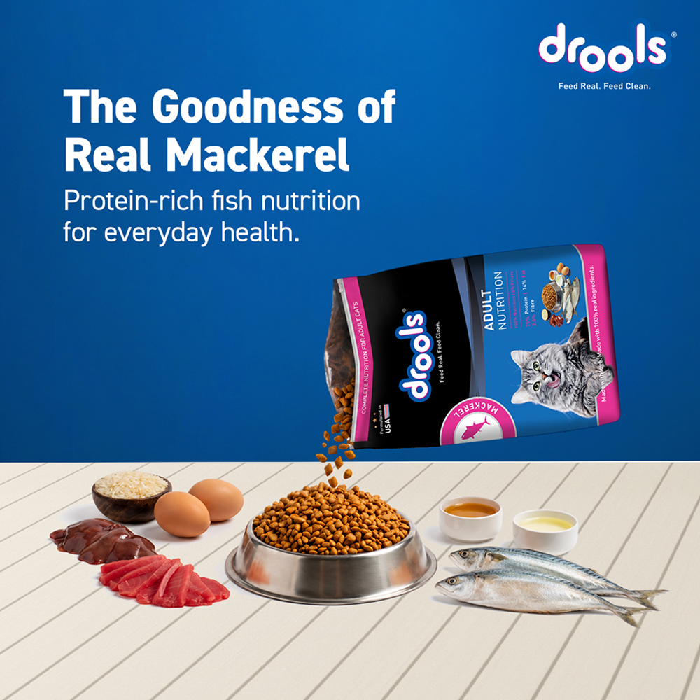 Drools Mackerel Adult Cat Dry Food image 3