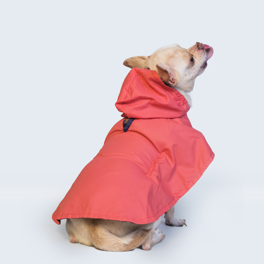 Pet Set Go Cape Style Raincoat for Dogs (Red) image 7
