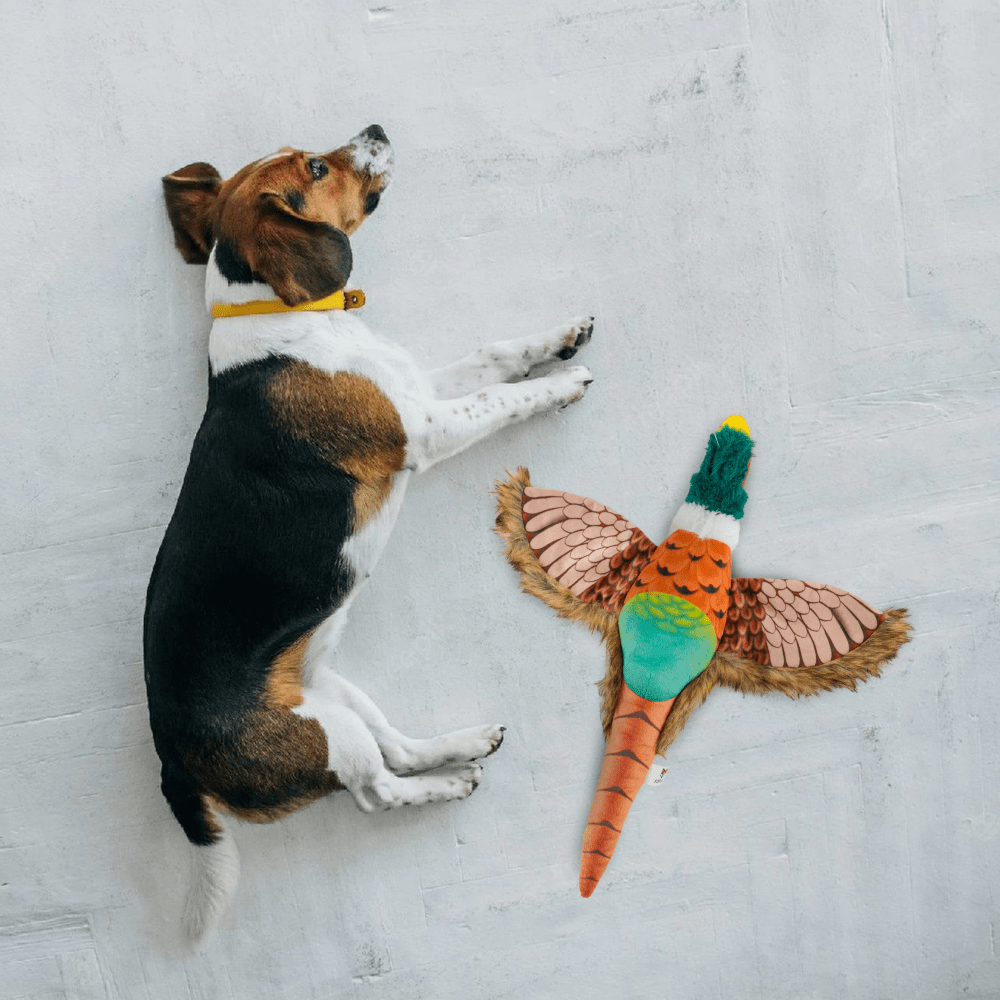 Barkbutler x Fofos Plush Pheasant Toy for Dogs | For Soft Chewers image 5
