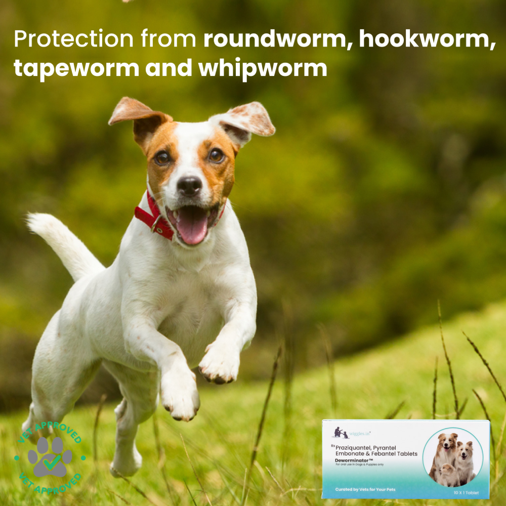 Wiggles Deworminator Deworming Tablets for Dogs and Cats image 6