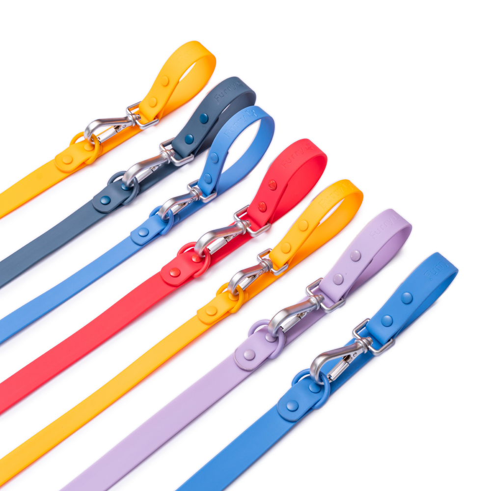 Furry & Co Weatherproof Leash for Dogs (Everest Blue) image 9