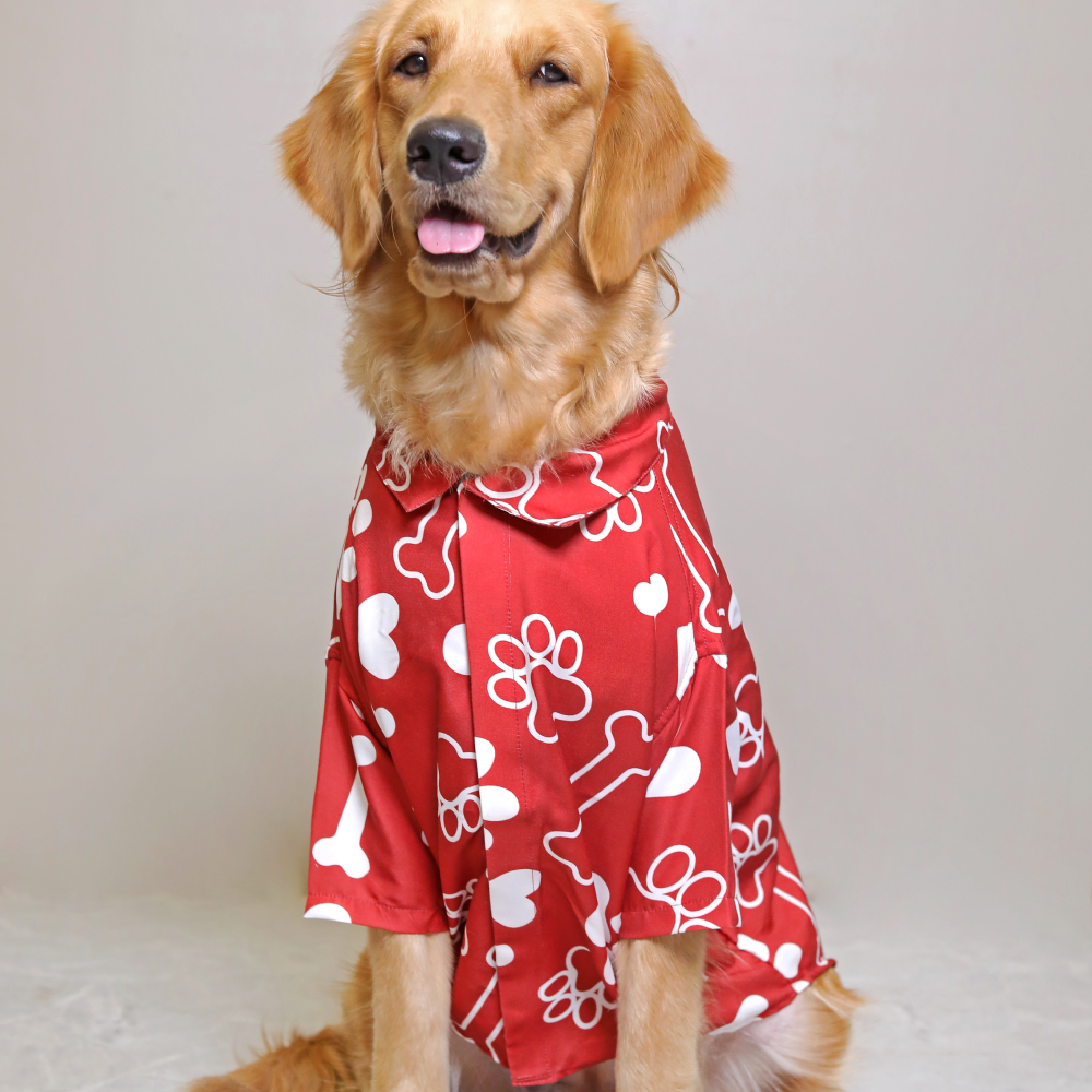 15buttons Paws-tive Love Shirt for Dogs image 5