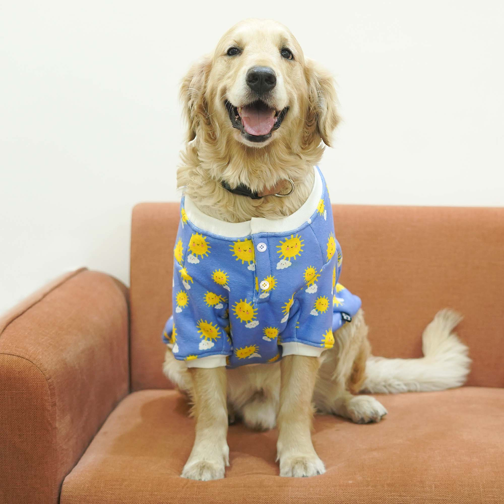 Pets Way Sunlight Winter Sweatshirts for Dogs (Blue)