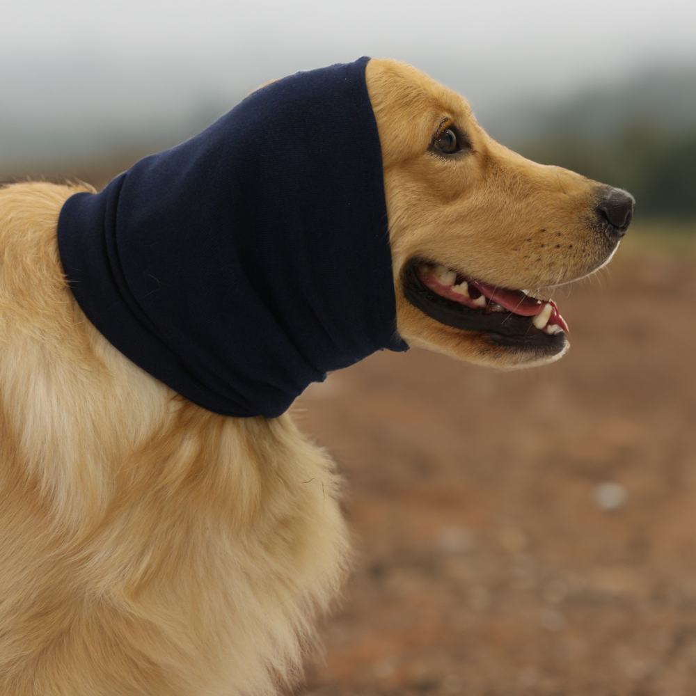 Skatrs Cold and Sound Protection Ear Muffs for Dogs and Cats (Blue) image 7
