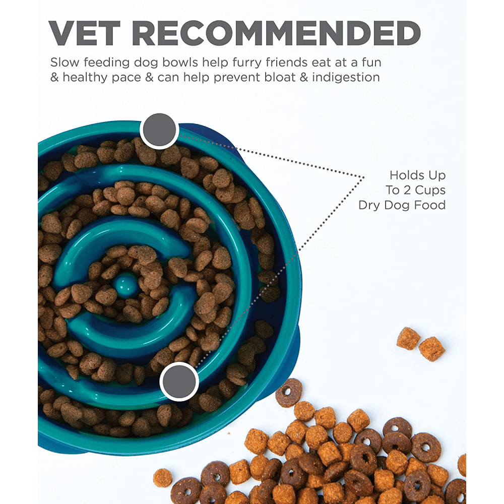 Outward Hound Fun/Slow Feeder for Dogs (Teal) image 5