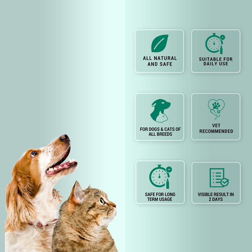 Natural Remedies Nomo Ticks Home Spray for Dogs and Cats image 3