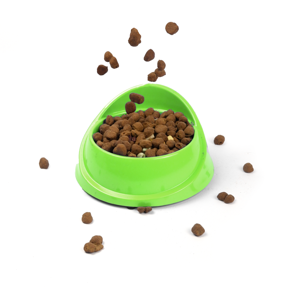 M Pets Single Fashion Diner Bowl for Dogs and Cats (Green) image 5