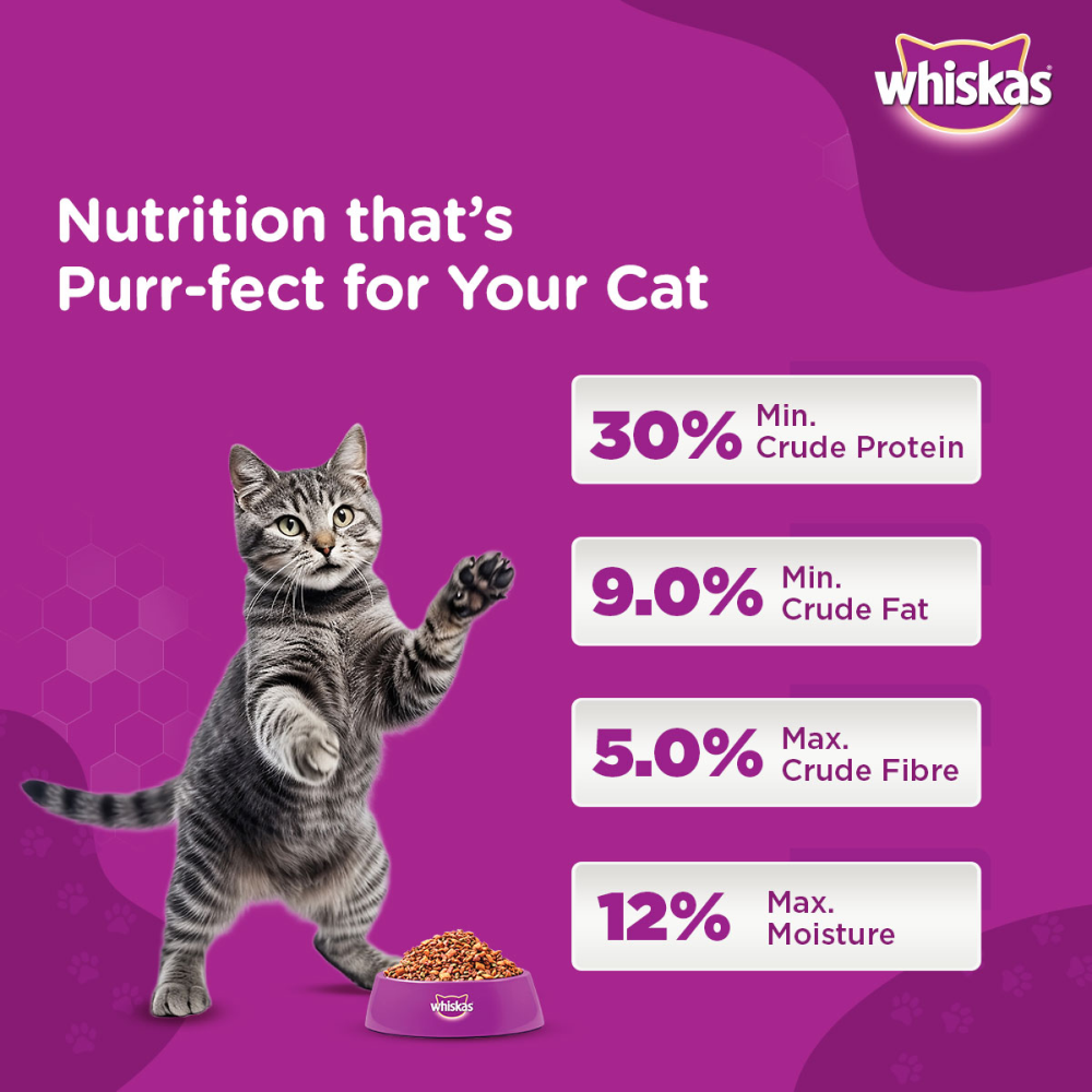 Whiskas Ocean Fish and Tuna Flavour Adult Cat Dry Food Combo image 6