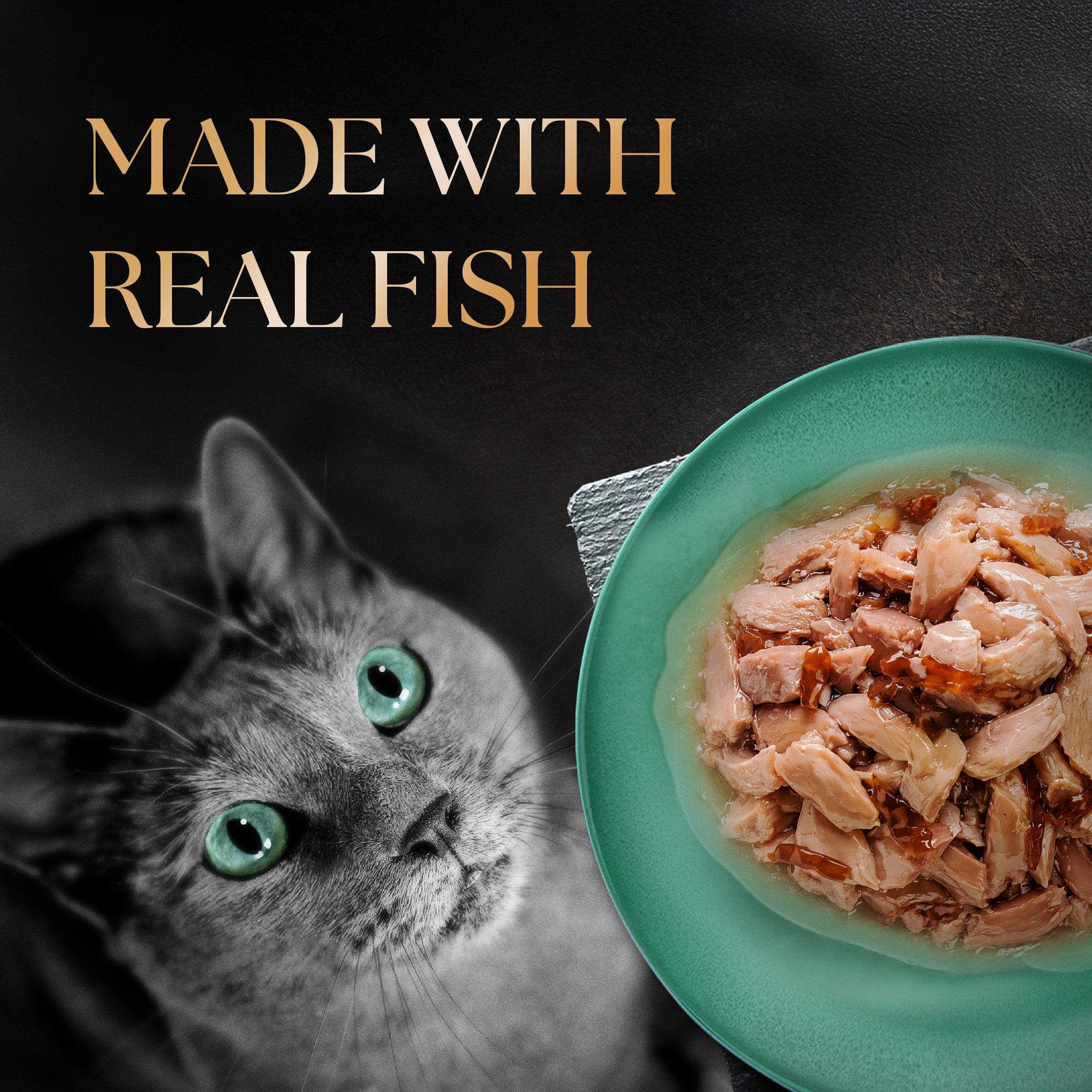 Sheba Fish with Dry Skipjack Premium Cat Wet Food image 8