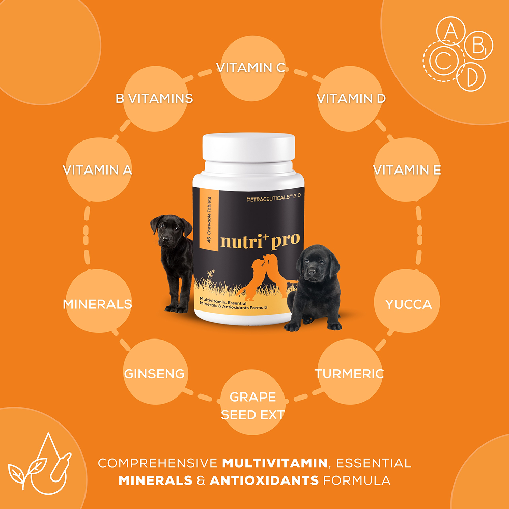 Venttura Nutri Plus Pro Multi Vitamin Chewable Tablets for Dogs image 4