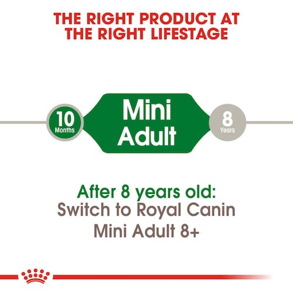 Royal Canin Mini Adult Dog Dry Food image 8