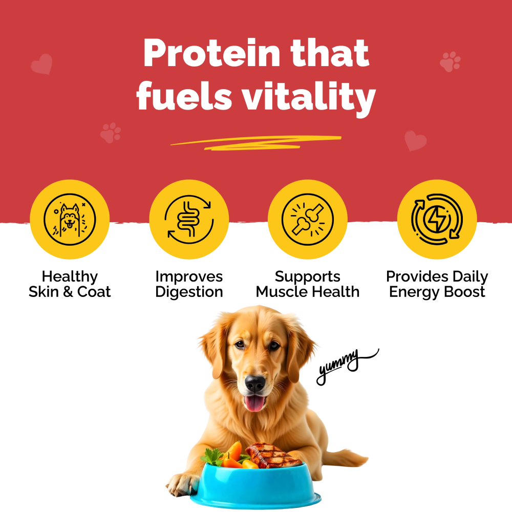 PetStrong 2.2  Meal Protein Booster for Dogs image 9