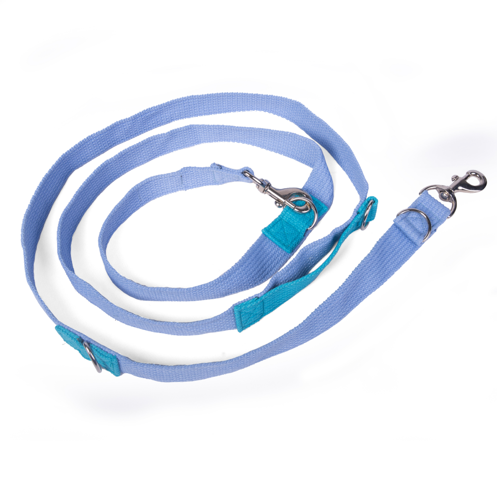 Let's Wag Multi Purpose Leash for Dogs (Sky Blue) image 5