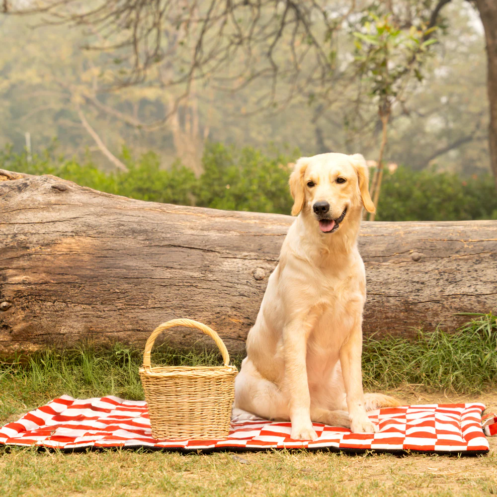 Pet Set Go Cozy Checks Mat for Dogs and Cats (Red) image 2