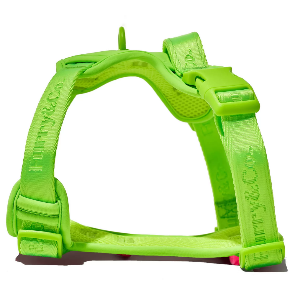 Furry & Co Ultra Harness, Leash and Collar for Dogs Combo (Limelight) - L image 2