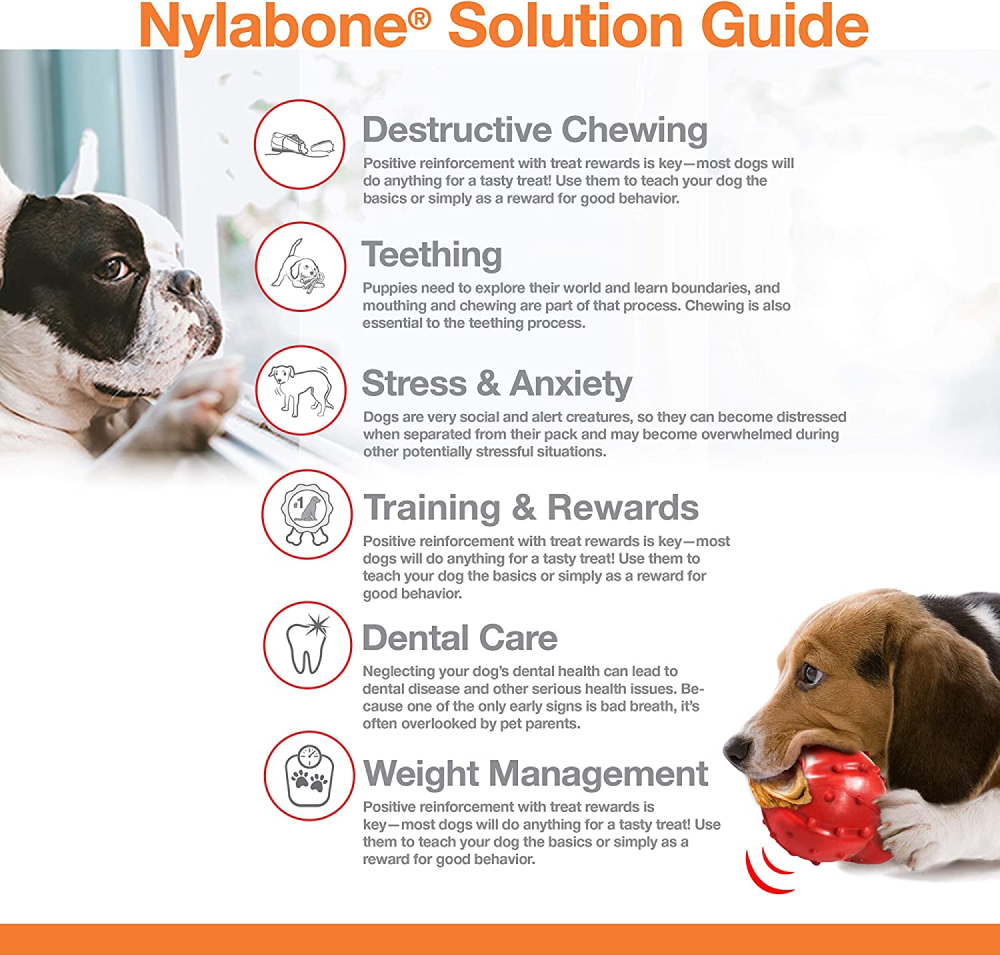 Nylabone Beef Flavor Power Chew Femur Dog Bone for Dogs image 6