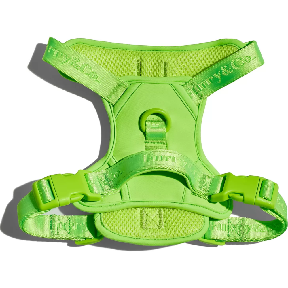 Furry & Co Ultra Harness, Leash and Collar for Dogs Combo (Limelight) - L image 4