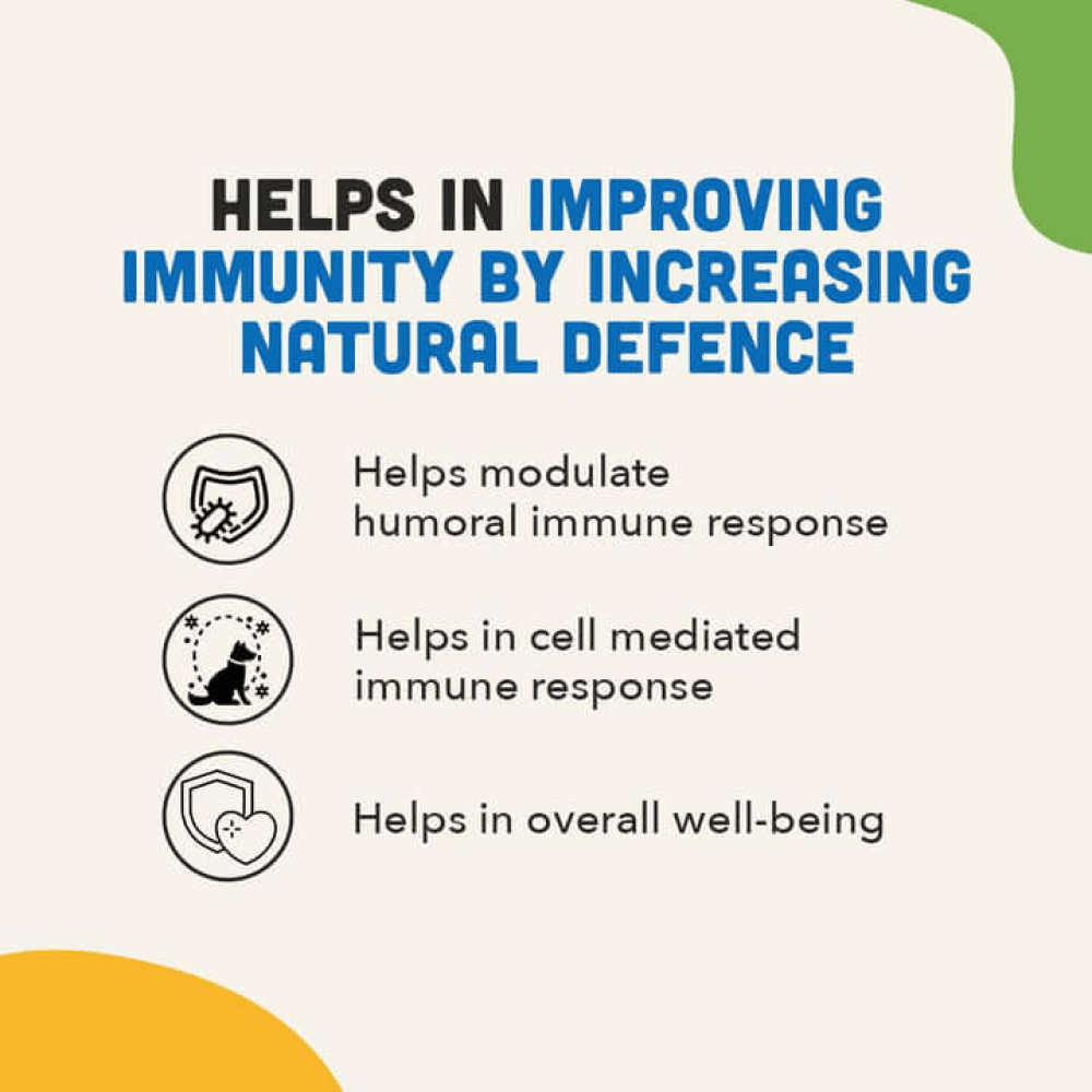Natural Remedies Immunities Bites for Dogs image 4
