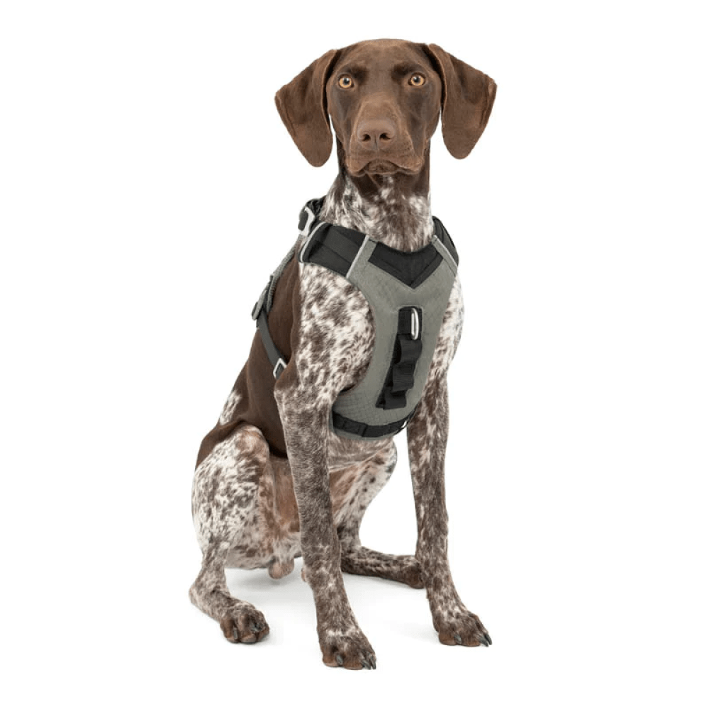 Kurgo Journey Air Harness for Dogs (Black/Gargoyle Grey) image 4