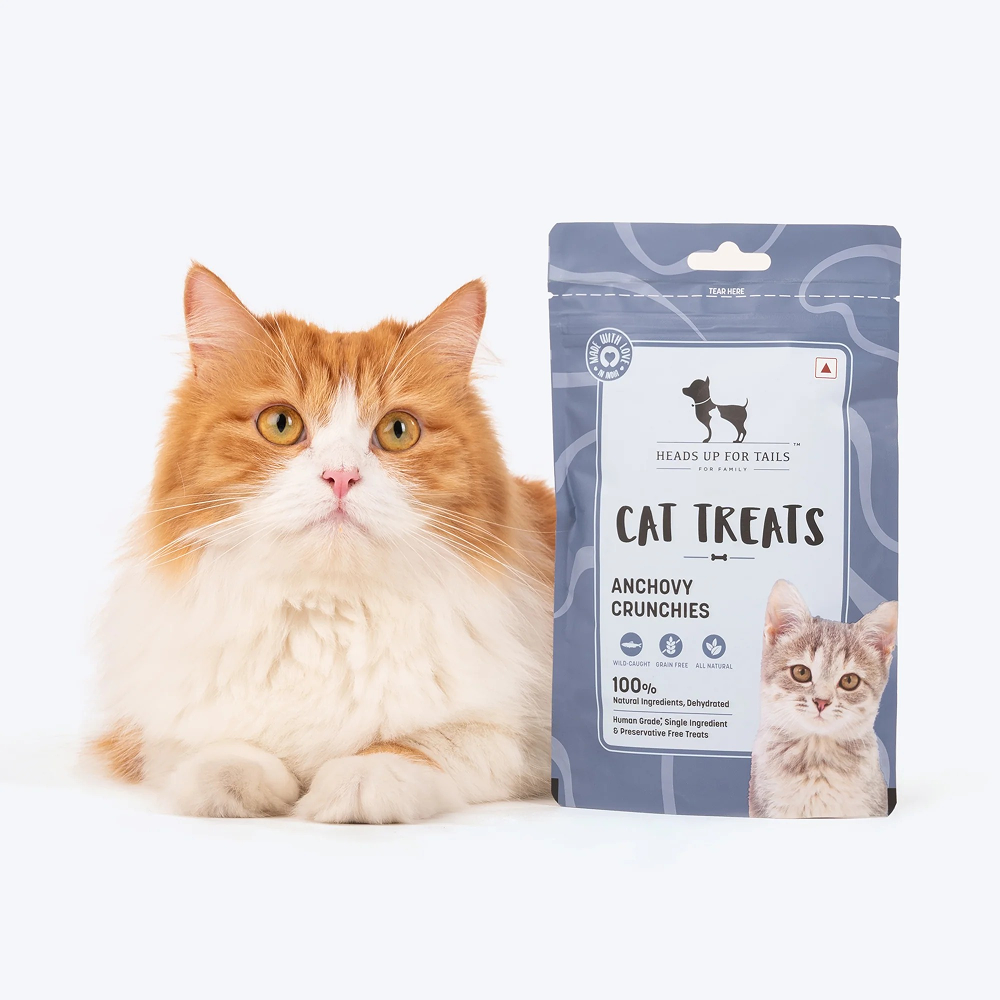 HUFT Dehydrated Anchovies Crunchies Cat Treats image 2