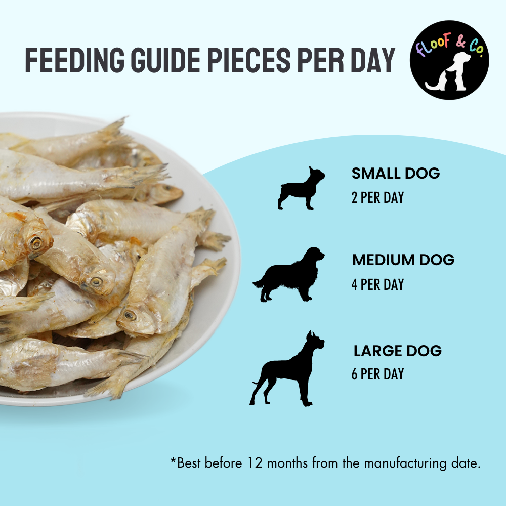 Floof & Co Snappy Sardine Snacks Dog Treats image 3