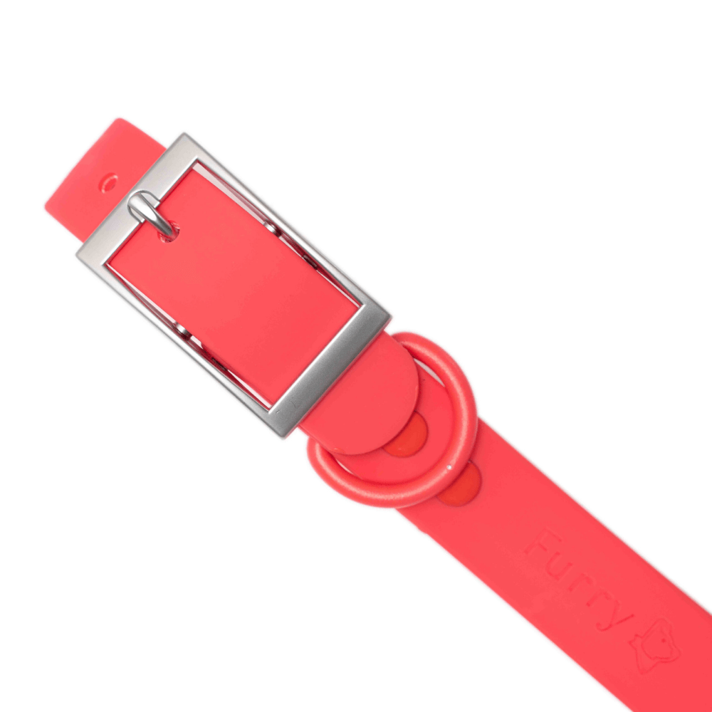 Furry & Co Weatherproof Collar for Dogs (Coral Red) image 2