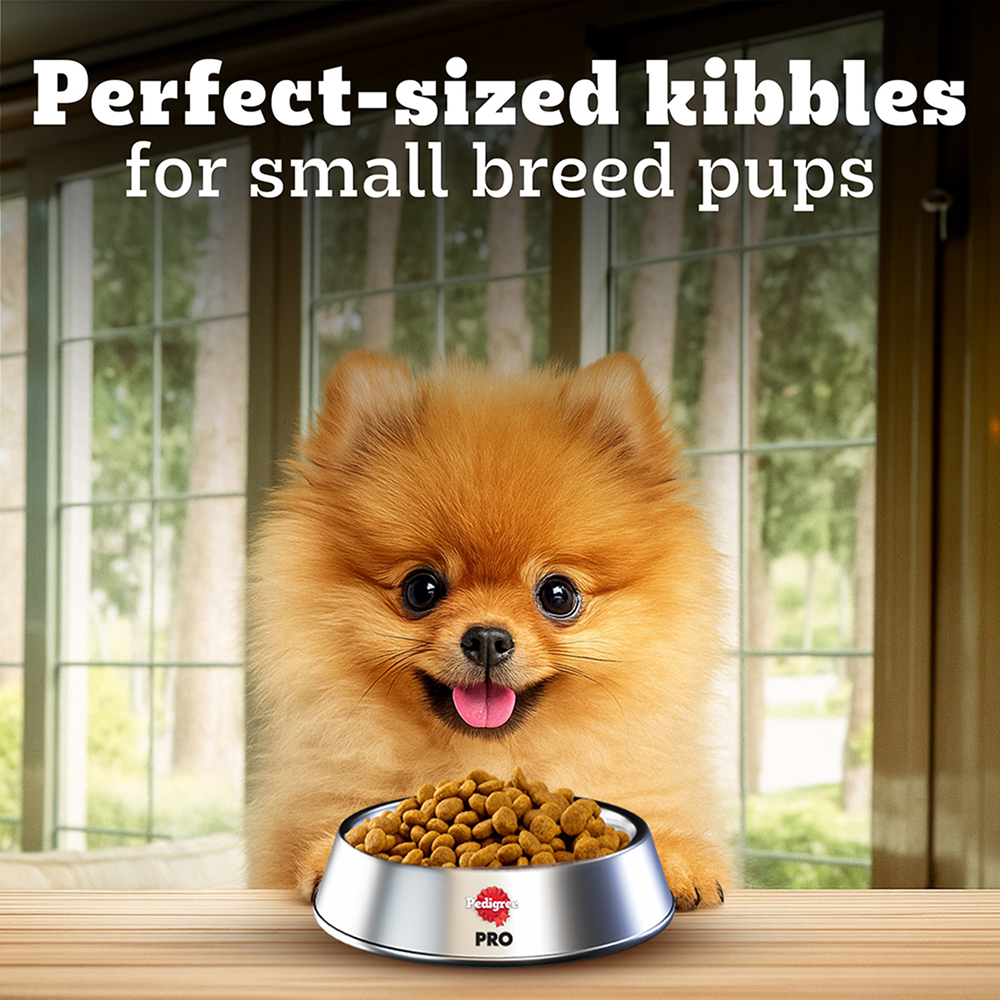Pedigree PRO Expert Nutrition Small Breed Puppy (2 to 9 Months) Dry Food image 7