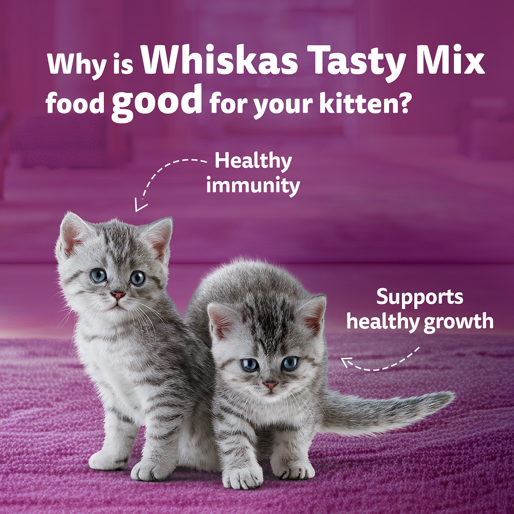 Whiskas Tasty Mix Chicken Tuna with Sweet Potato Kitten Cat Wet Food image 8