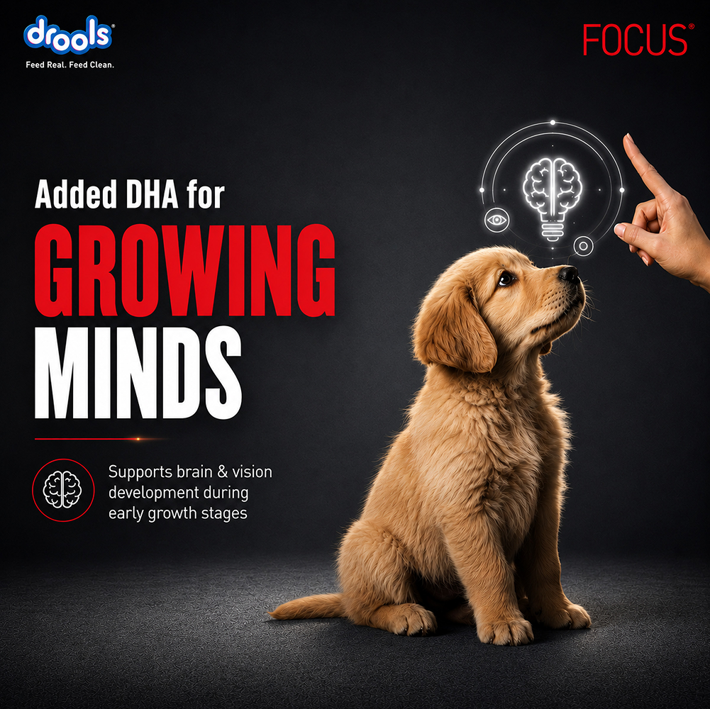 Drools Focus Pup Booster Puppy Weaning Diet for All Breeds (300g) image 4