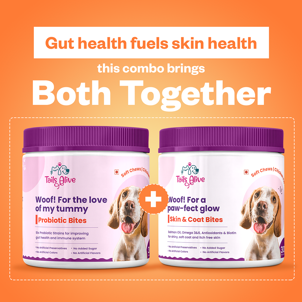 TailsAlive Probiotic Chicken Flavor and Skin & Coat Soft Chews Supplements for Dogs image 6