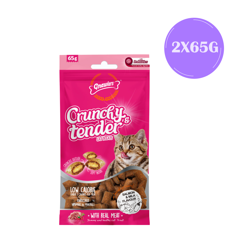 Gnawlers Salmon & Milk Crunchy Tender Cat Treats image 2