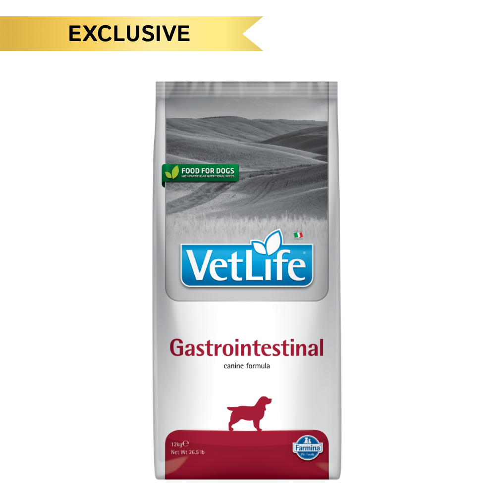 Farmina Vet Life Gastrointestinal Canine Formula Adult Dog Dry Food image 2