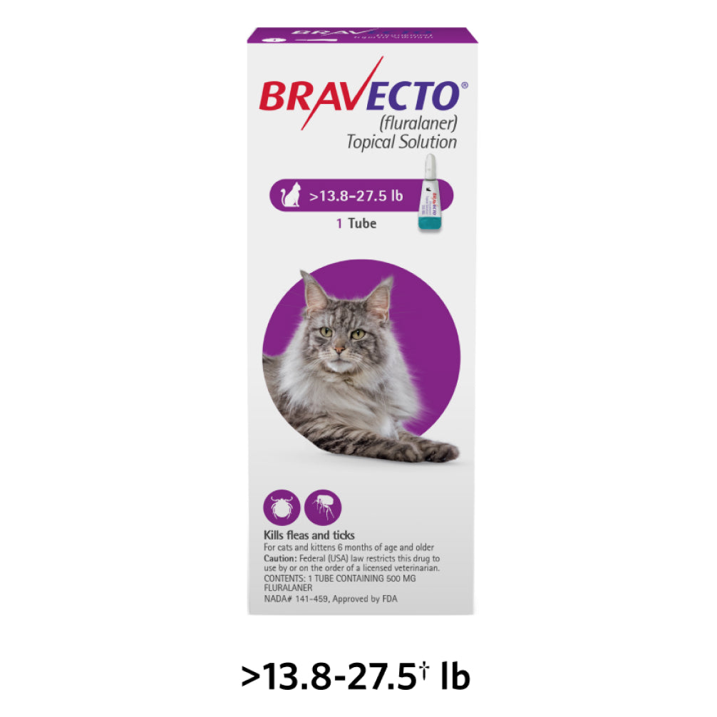 MSD Animal Health Bravecto 500mg (Fluralaner) Spot On for Large Cats (1 tube) image 4