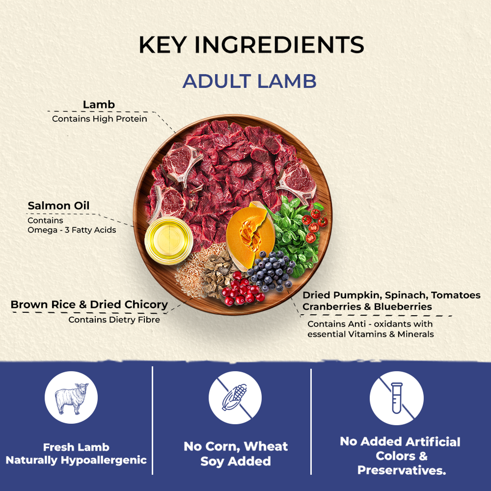Bruno's Wild Essentials Adult Lamb Recipe Dog Dry Food image 2