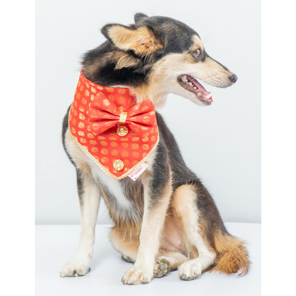 Pawgypets Occasion Wear Bow Bandana for Dogs and Cats (Red) image 3